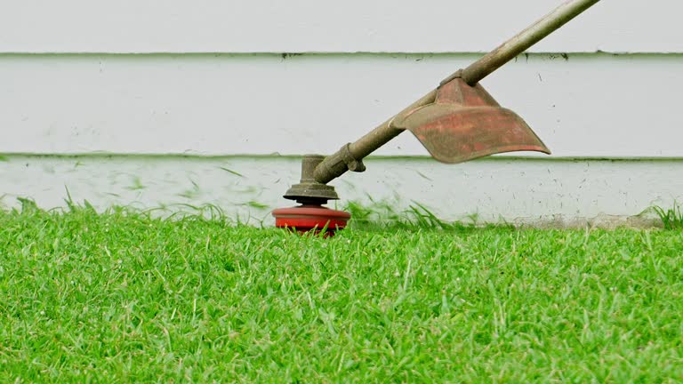 Grass Overseeding